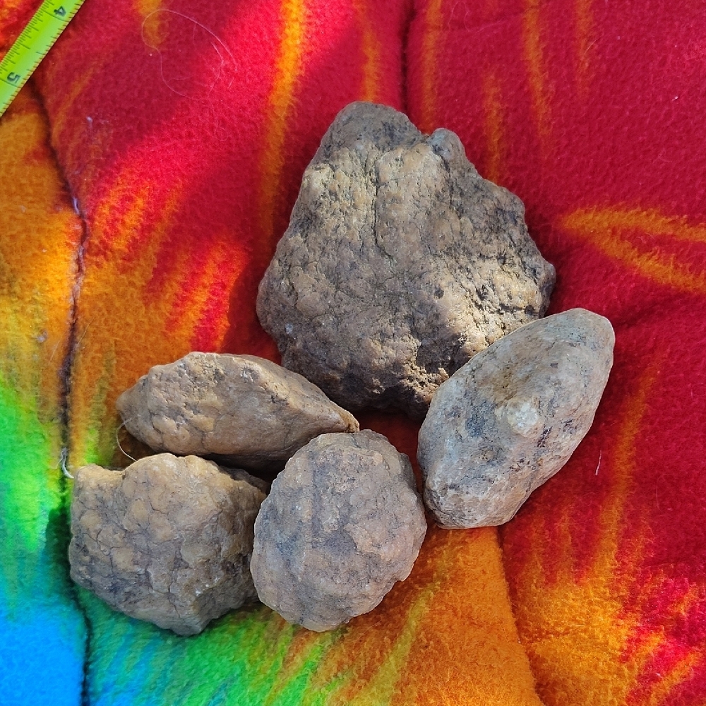 Geodes Natural Brown Rocks Collection - Picture 4 of 5